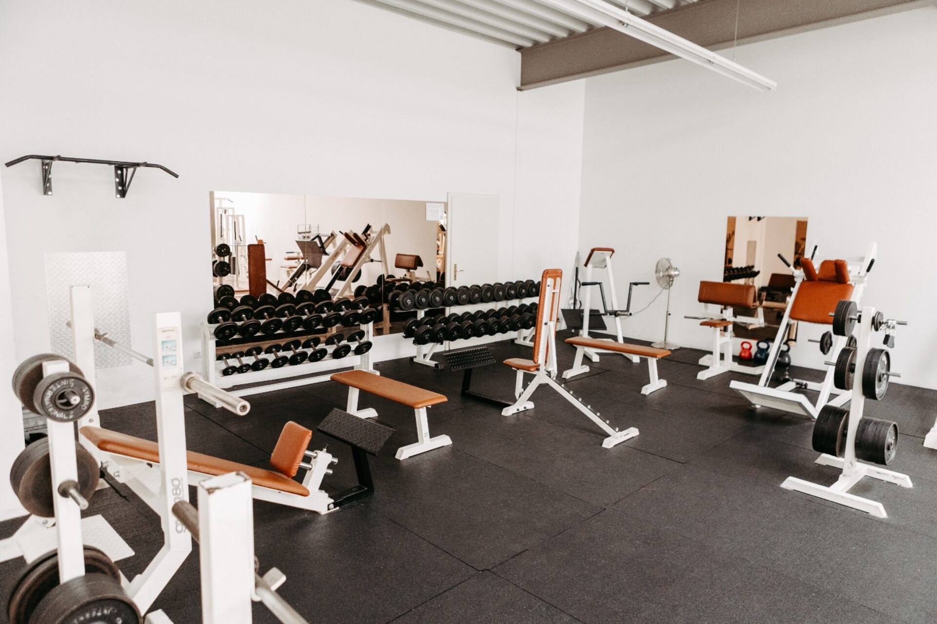 Langhantel Kurs im GYM-Fitnessclub Espenhain – geführtes Krafttraining mit der Langhantel