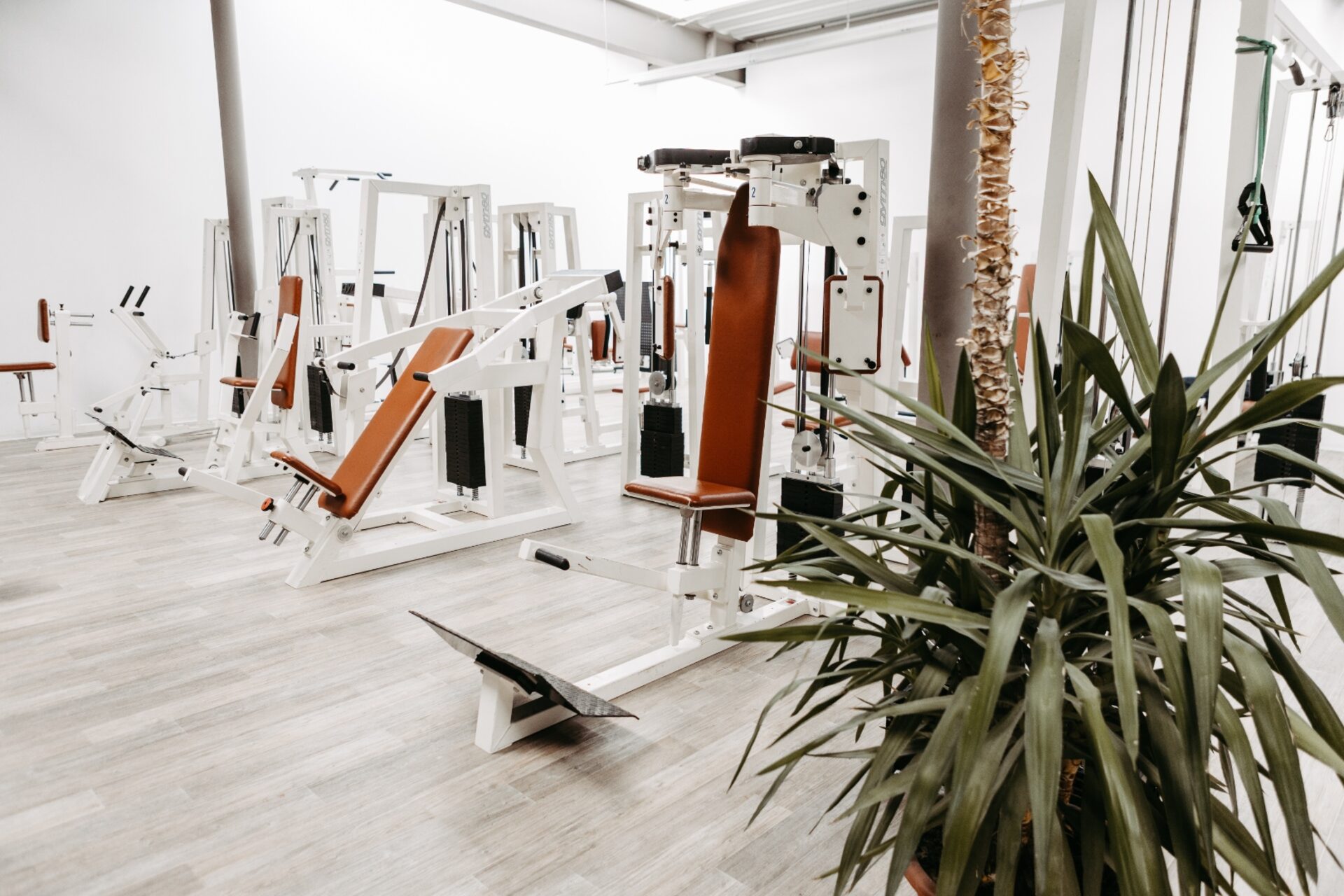 Kraftbereich im GYM-Fitnessclub Espenhain – moderne Geräte für effektives Krafttraining