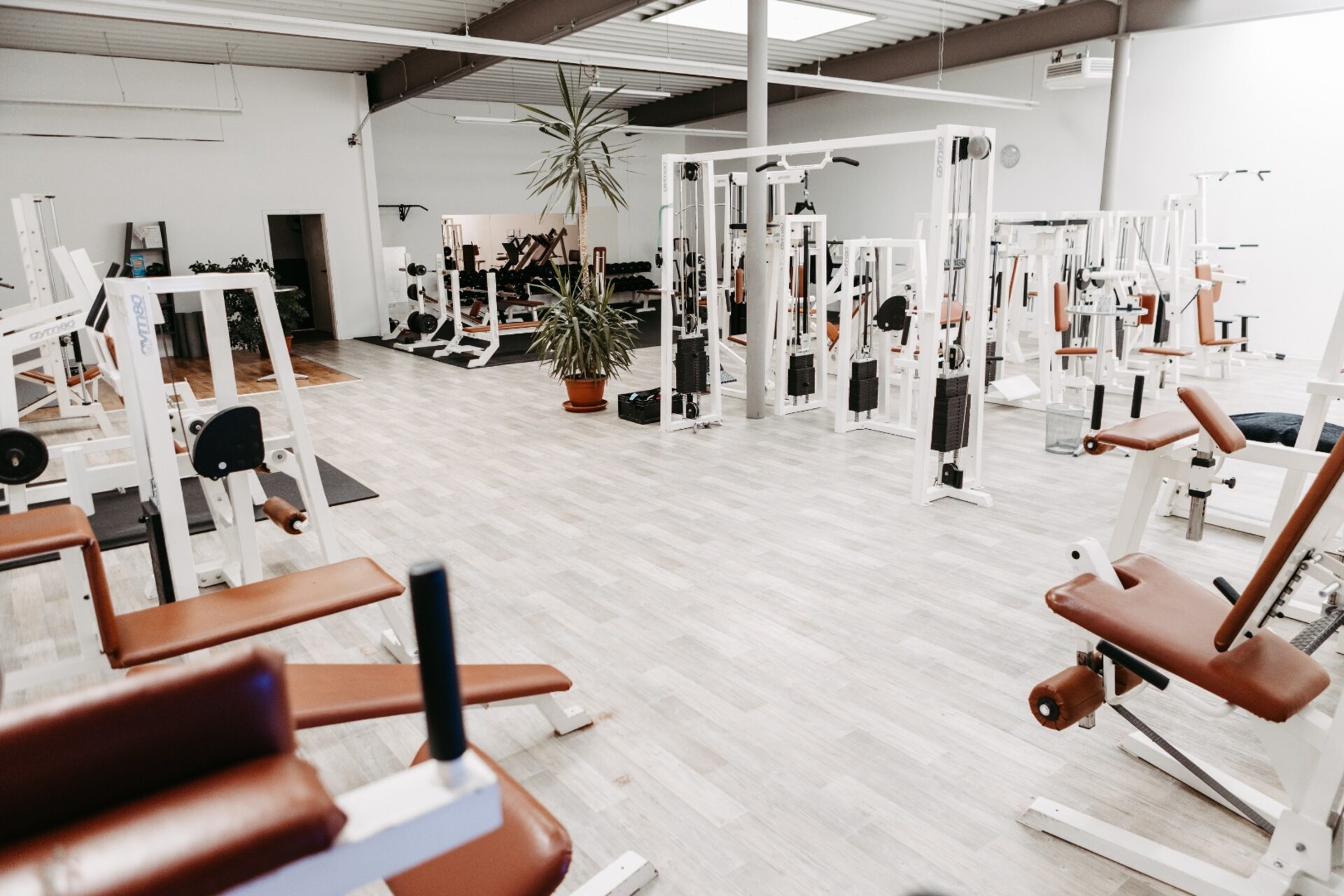 Trainingsfläche mit Gym80 Geräten im GYM-Fitnessclub Espenhain